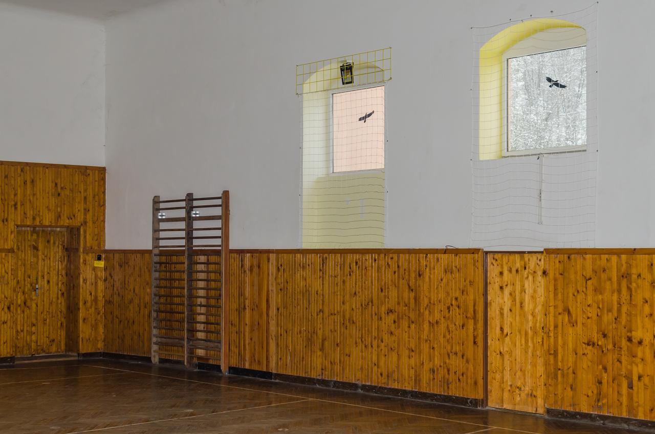 Penzion Sportino Svoboda nad Upou Exterior photo
